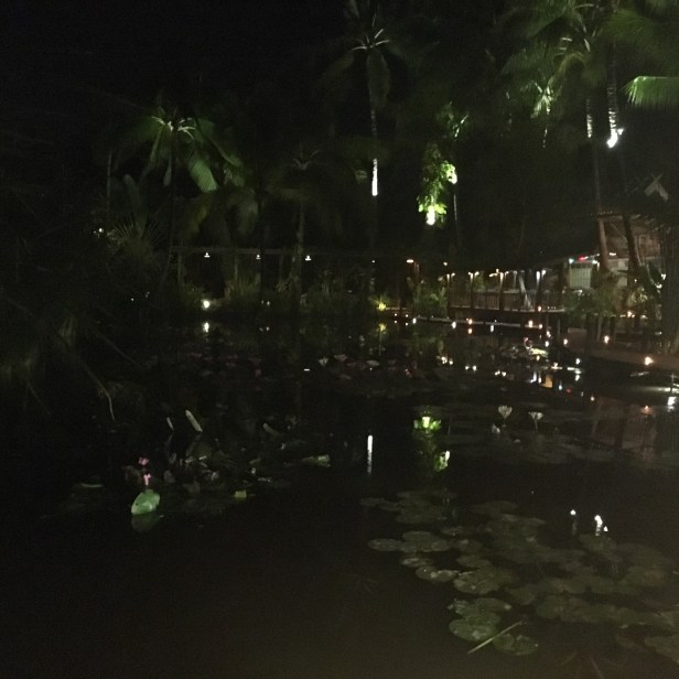 Exhibit E: Pond at Manda de Laos